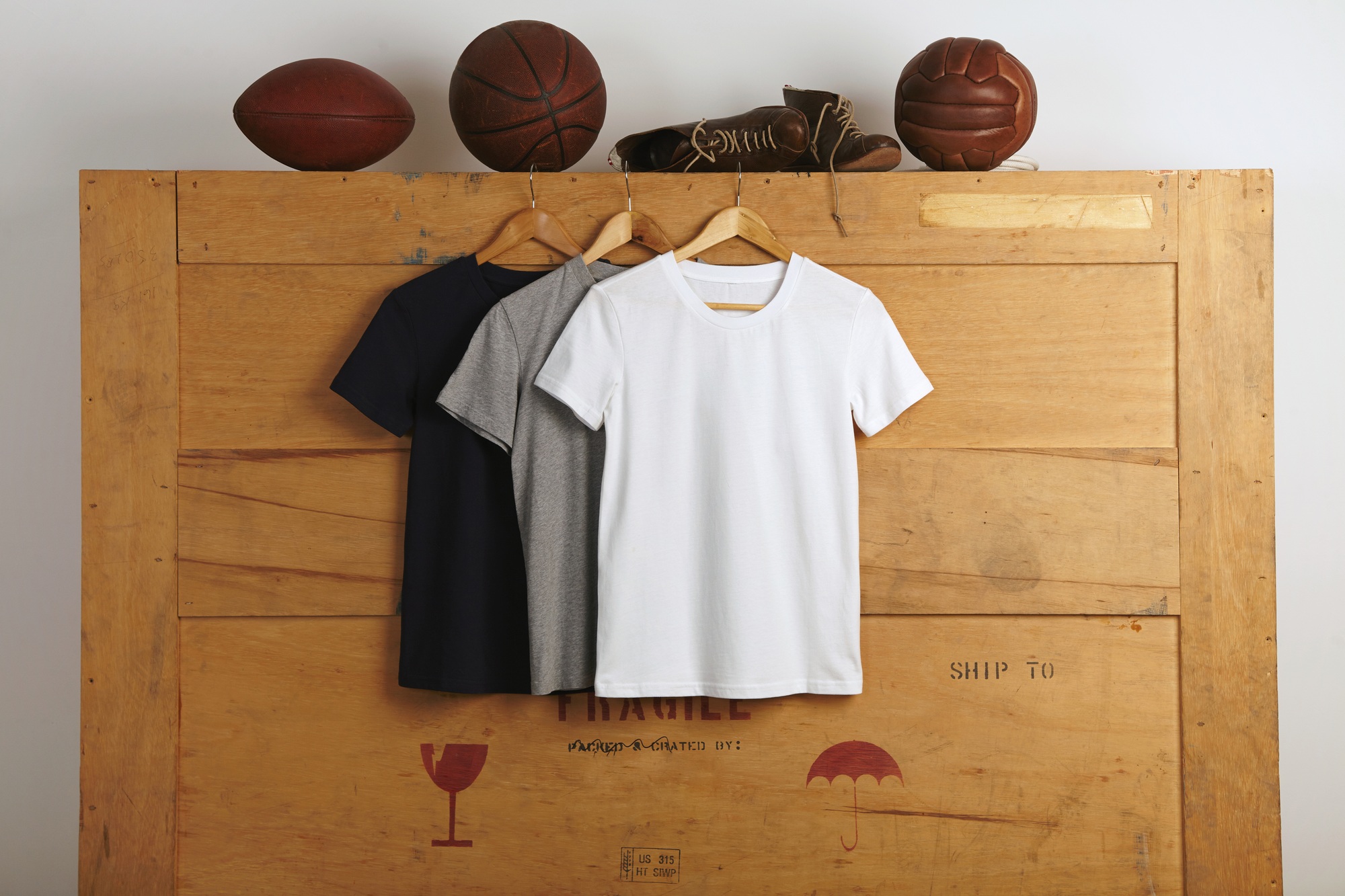 Blank t-shirts presentation