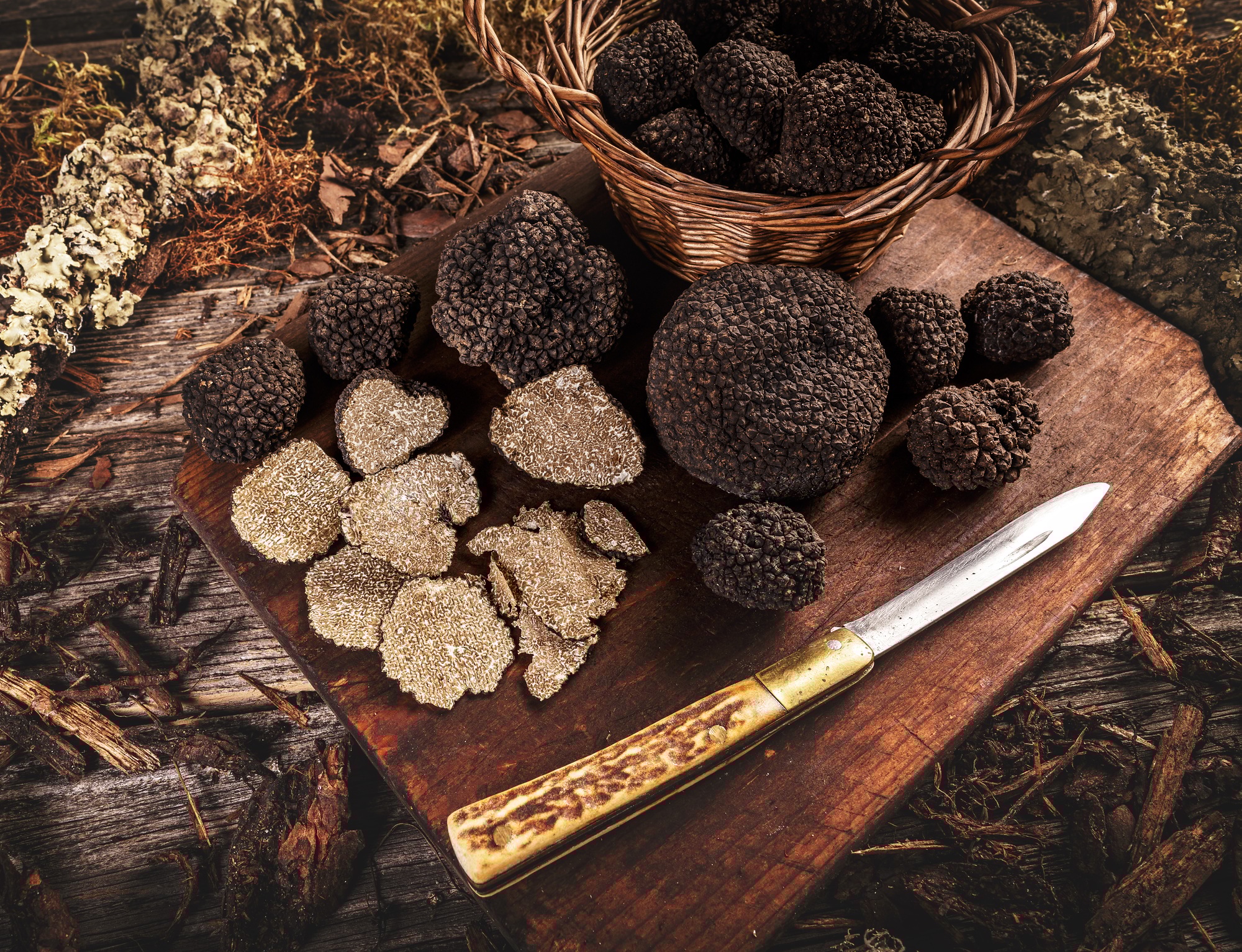 marque Truffle